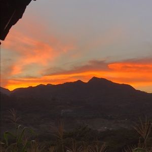 Meet your Posher, Noemi